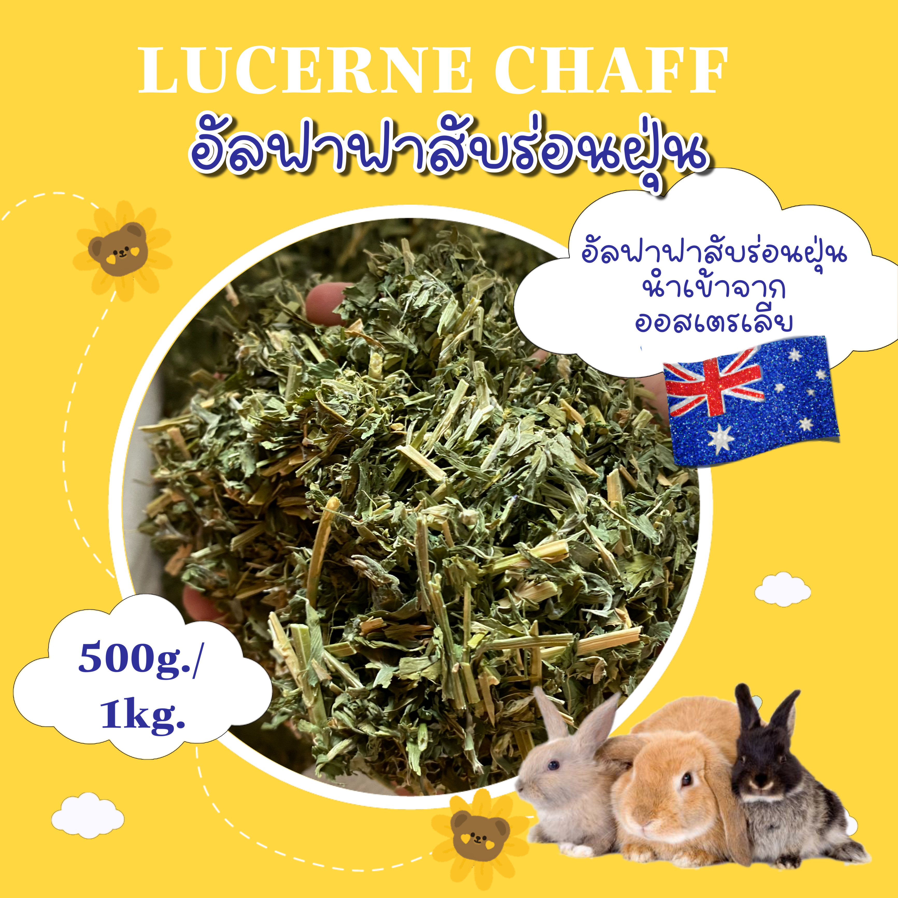 ราน รบ ซอ ถง แกส หง ตมTimeline Groups - ro13l46