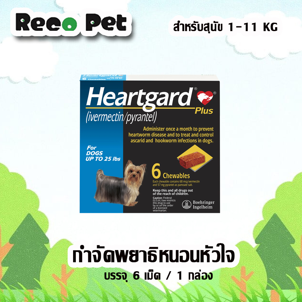 [6เม็ด]  หมดอายุ3/24  Heartgard Plus 1-11 Kg (สีฟ้า) ผลิตภัณฑ์เคี้ยวสำหรับสุนัข ป้องกันพยาธิหนอนหัวใจ