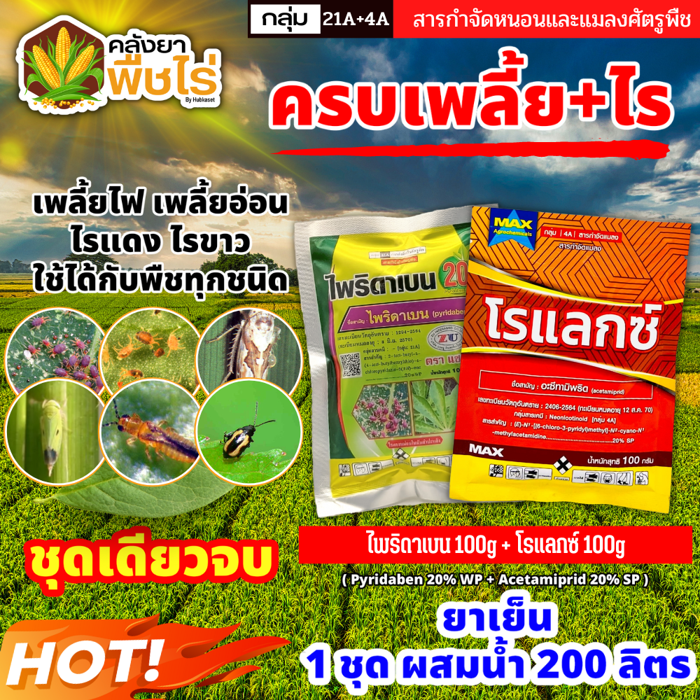 My Image 28