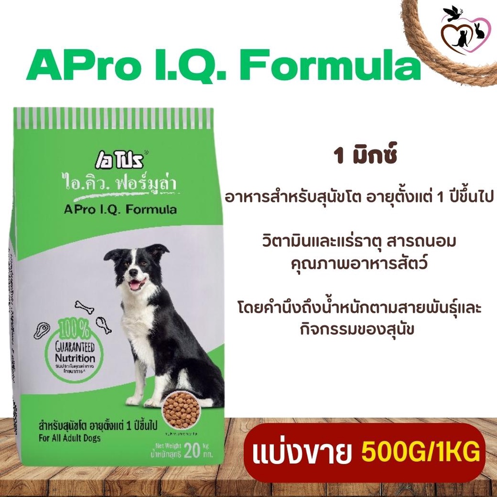 apro-i-q-formula-1