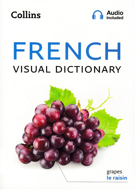 FRENCH VISUAL DICTIONARY by DK Today