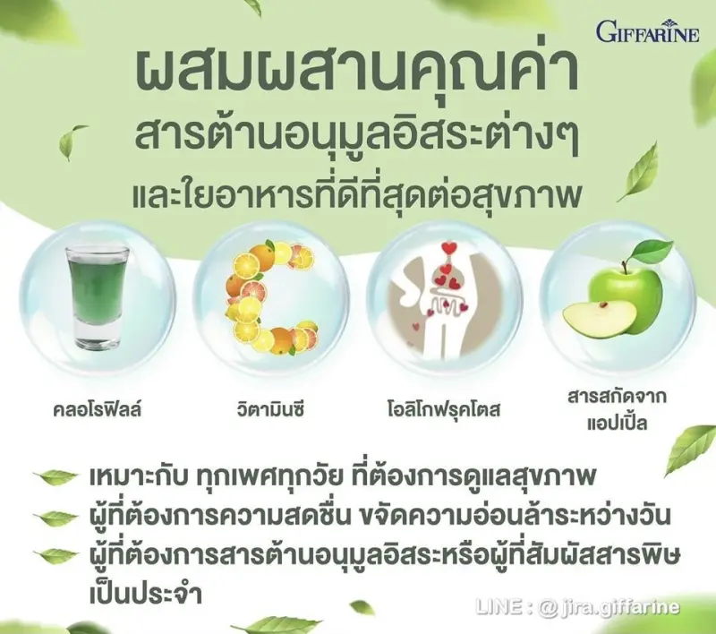 ภาพสินค้าคลอโรฟิลล์ ( 1 ซอง ผสมน้ำ 1.5 ลิตร ) CHLOROPHYLL จากร้าน Wealth.Giffarine บน Lazada ภาพที่ 6