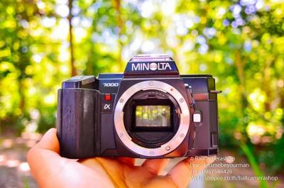 ขาย กล้องฟิล์ม Minolta A7000 Serial 13254927