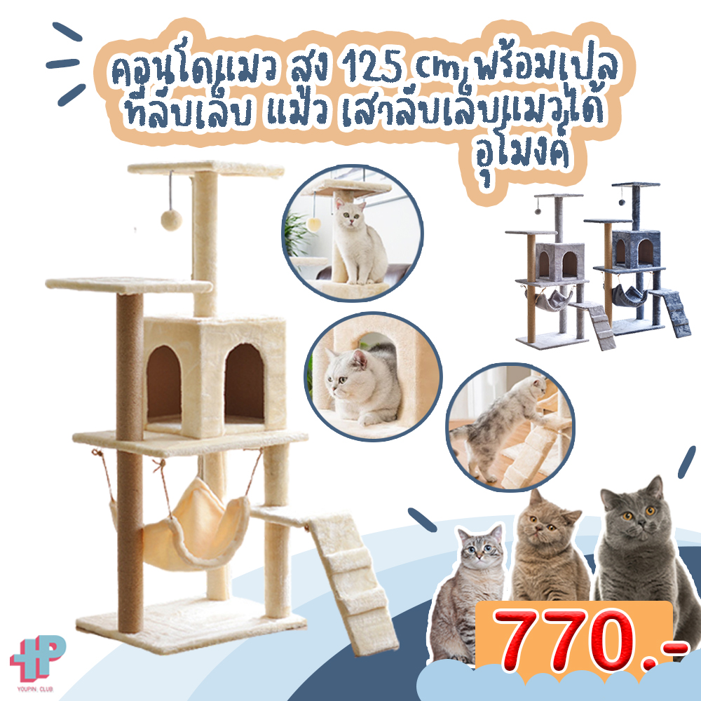[[ราคาถูกที่สุด]] Y102 คอนโดแมว ผ้านุ่มๆ สูง125cm พร้อมเปล ที่ลับเล็บแมว เสาลับเล็บแมวได้ คอนโดแมวขนาดใหญ่