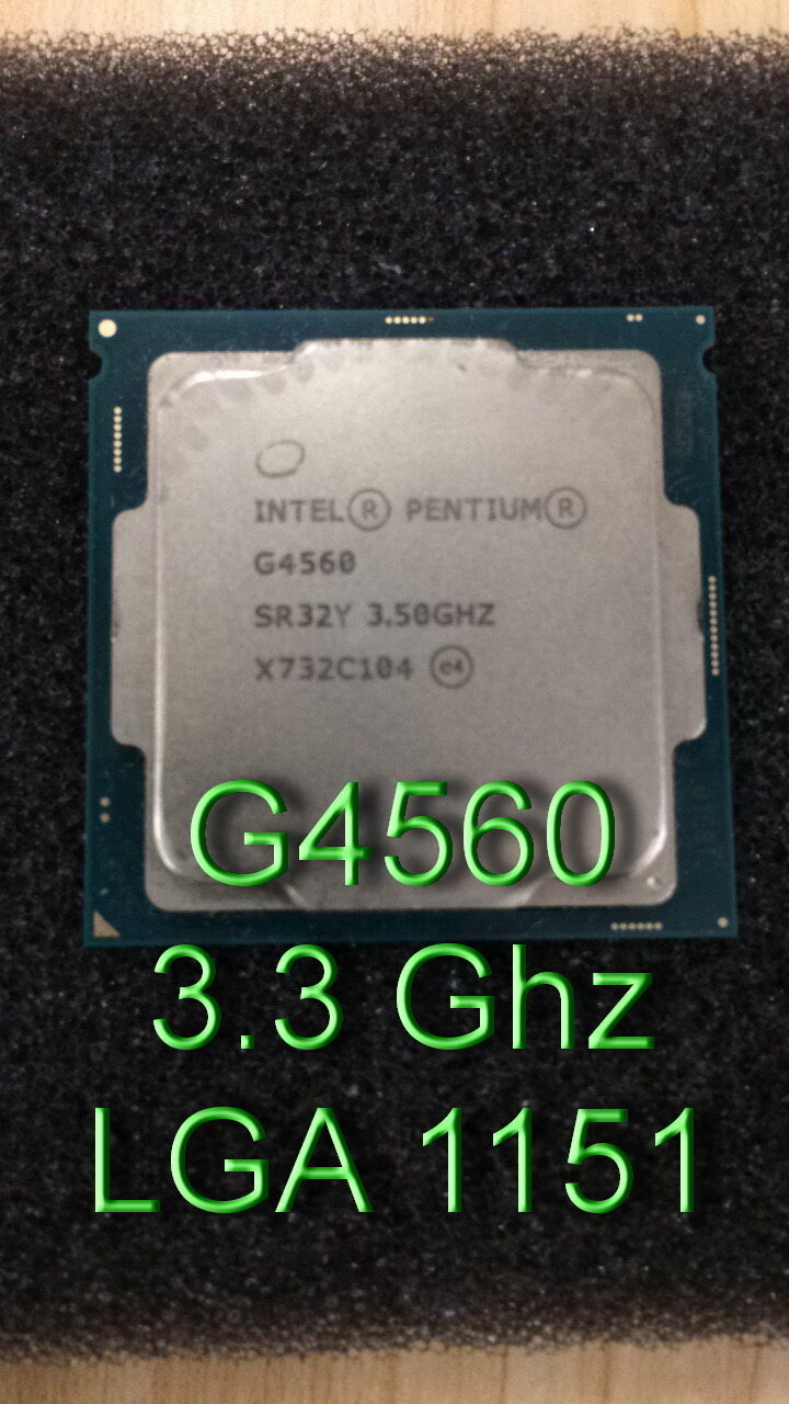 ซีพียู CPU Intel Pentium G4560 2คอ 4เทรด 54W LGA 1151 - TT.serviceni ...