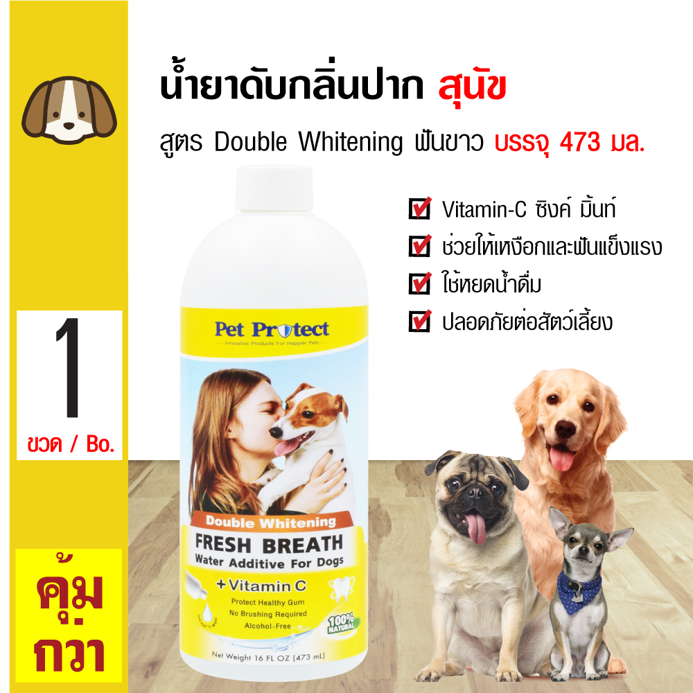 Pet Protect Dog 473 ml. น้ำยาดับกลิ่นปากสุนัข ใช้ผสมน้ำดื่ม สูตรฟันขาวขึ้น 2 เท่า ผสม Vitamin-C, Zinc & Mint สำหรับสุนัขทุกสายพันธุ์ (473 มล./ขวด)