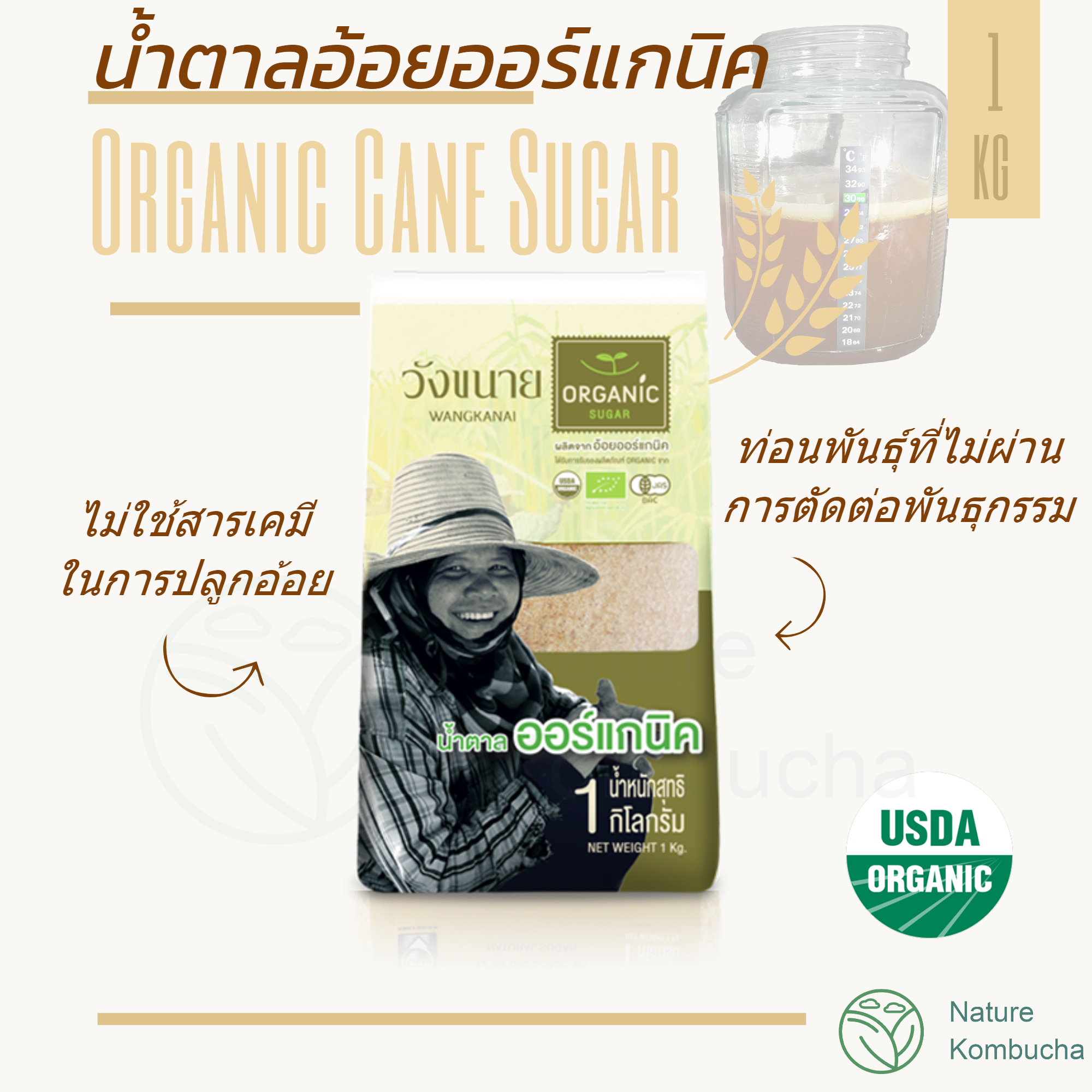 น้ำตาลอ้อยออร์แกนิค วังขนาย สำหรับหมักดอง คอมบูชา | Organic cane sugar for kombucha brewing | Nature Kombucha  scoby