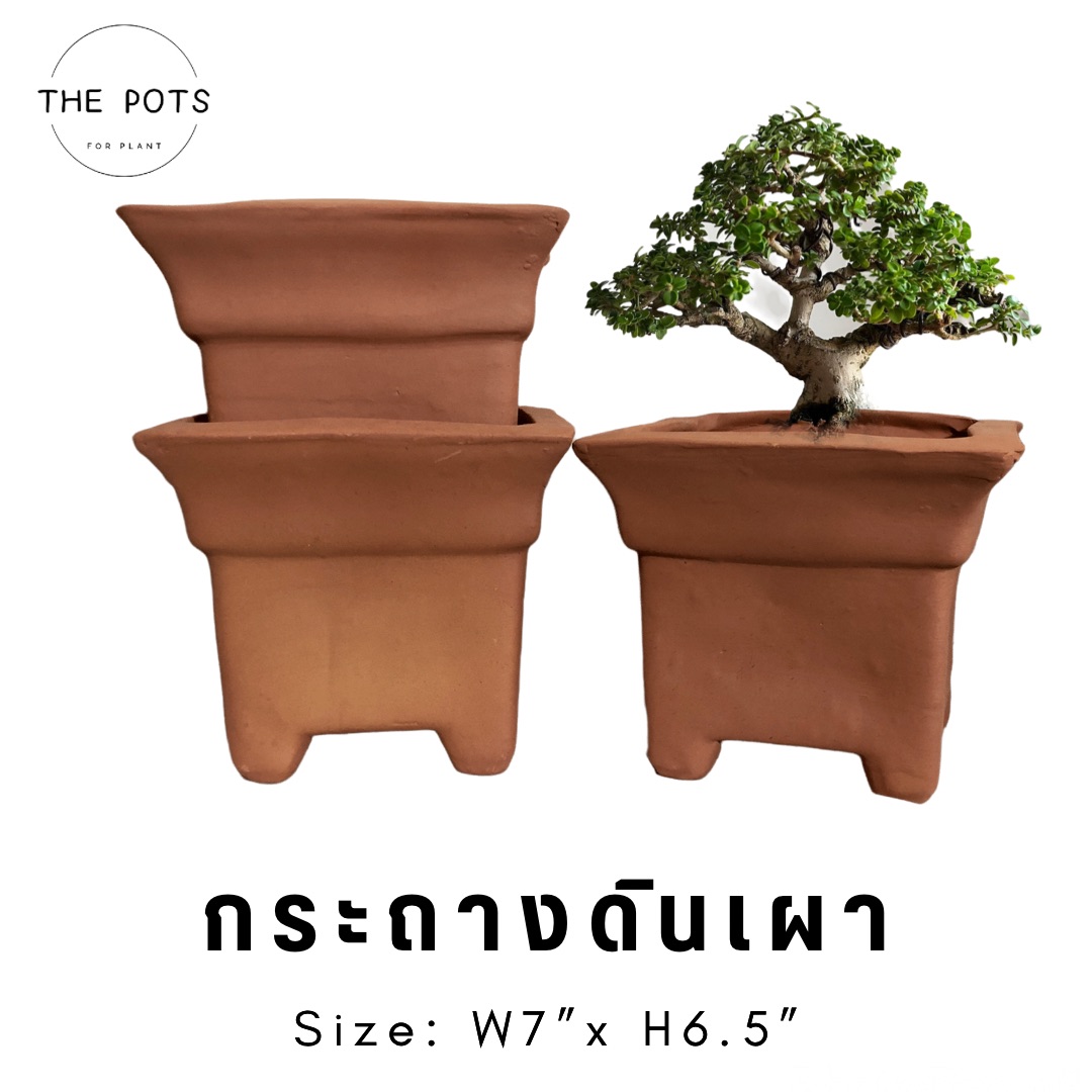 กระถางดินเผา กระถางดินเผาแกร่ง กระถางปากกว้าง กระถางทรงสูง กระถางต้นไม้