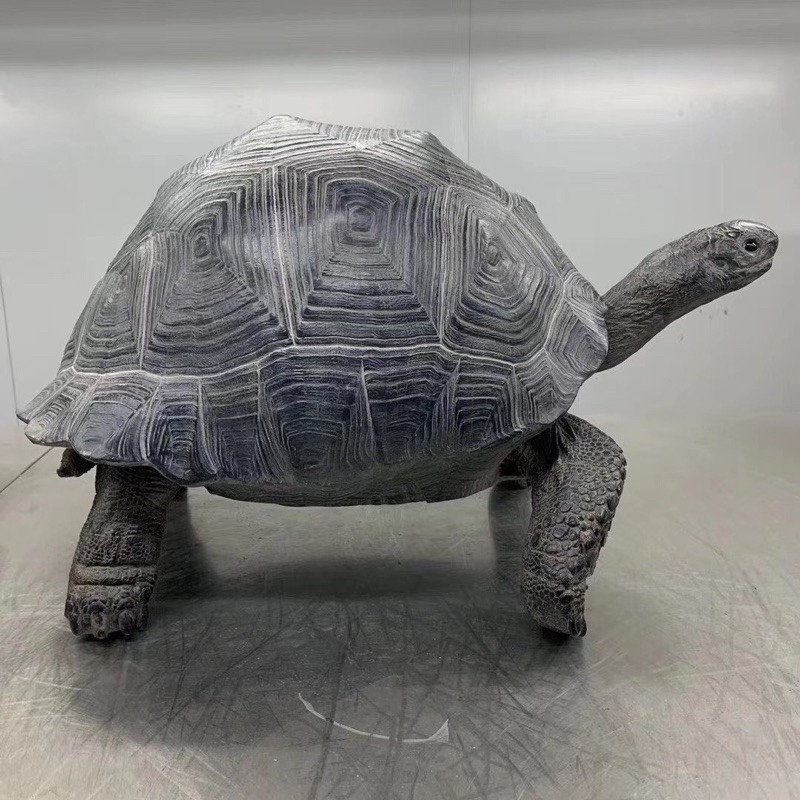 Aldabra Tortoise Model โมเดลอัลดาบราเรซิ่น
