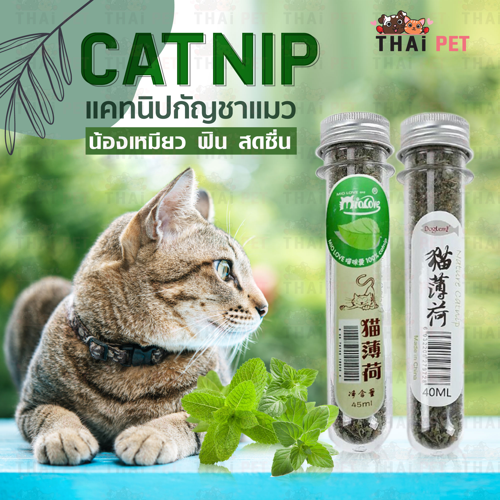 กัญชาแมว Catnip ออร์แกนิคแบบหลอด แคทนิปแมว ขนาด40ml. ช่วยผ่อนคลายให้น้องแม