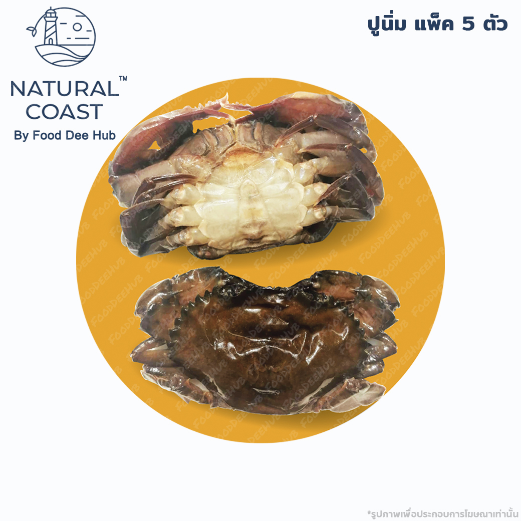 ปูนิ่มแพ็ค 5 ตัว - Natural Coast Soft shell (fooddeehub)