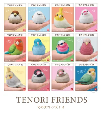 แยก Bandai Tenori Friends 1R โมเดลสัตว์ โมเดลนก สมจริง น่ารัก Bird Model Figure ลิขสิทธิ์แท้ โมเดล ตกแต่ง Forpus ฟอพัส