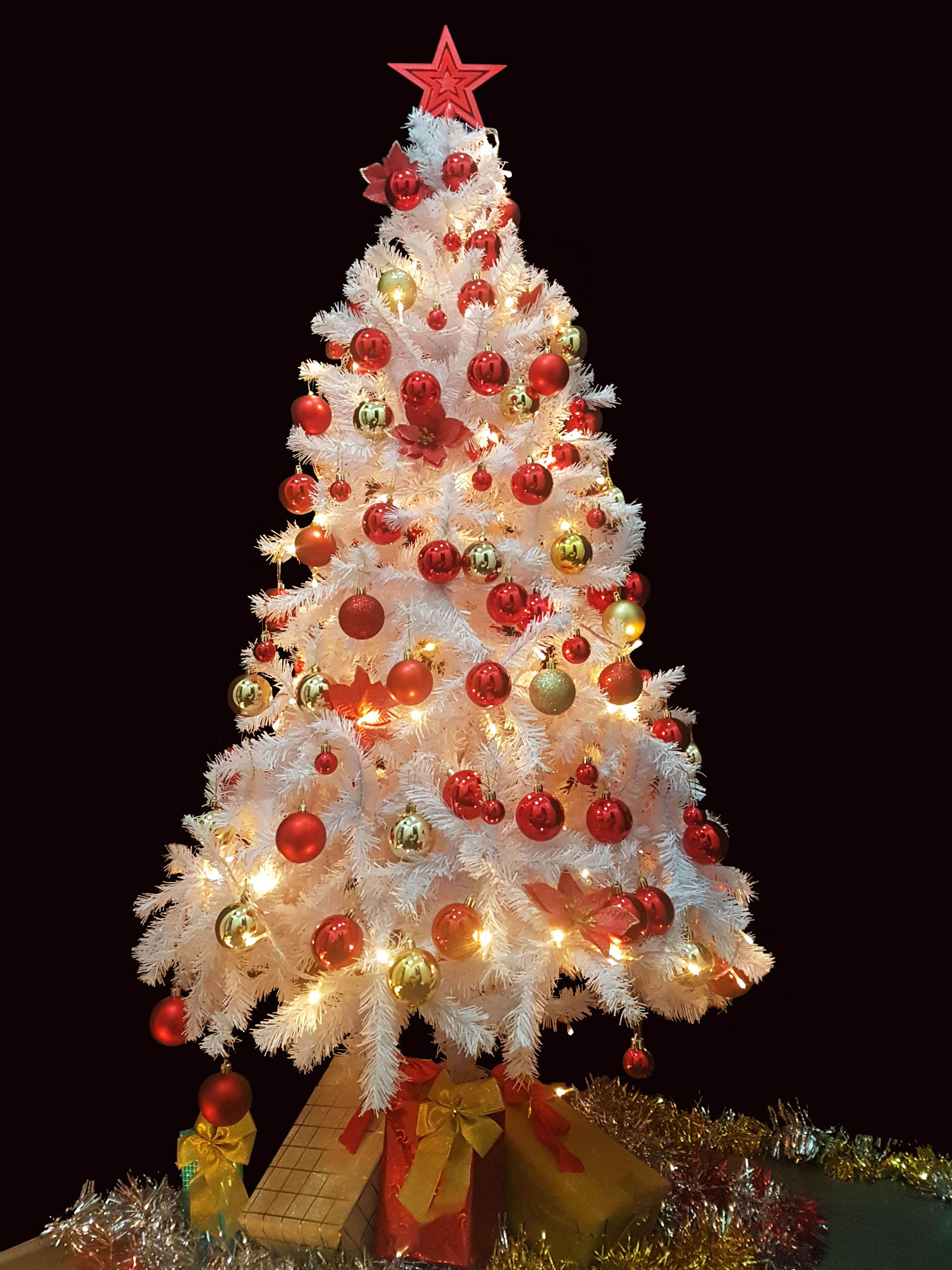 X-Mas ต้นคริสมาสต์ปลอมสีขาวฐานเหล็ก ต้นคริสต์มาสขนาดเล็ก พร้อมของตกแต่งธีมลูกบอล ต้นคริสมาสปลอมชนิดพุ่มหนา ขนาด1.8เมตร/6ฟุต   6'/ 1.8M Medium-sized WHITE Christmas Tree