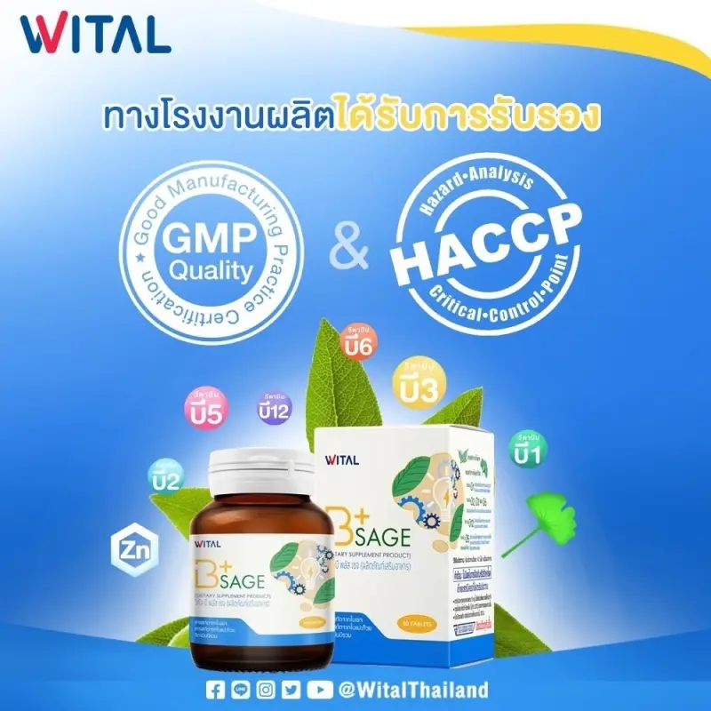 ภาพสินค้าWITAL - Wital B+ Sage อาหารเสริมบำรุงสมอง วิตามินบีรวม + ใบเซจ (1 ขวด) จากร้าน WITAL บน Lazada ภาพที่ 5