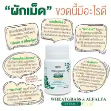 ภาพขนาดย่อของภาพหน้าปกสินค้าผักเม็ด Wheatgrass & Alfalfa Extract Multi Plus+ Q10 ** ฟรีค่าส่ง ** จากร้าน Wheatgrass & Alfalfa Plus  บน Lazada ภาพที่ 4