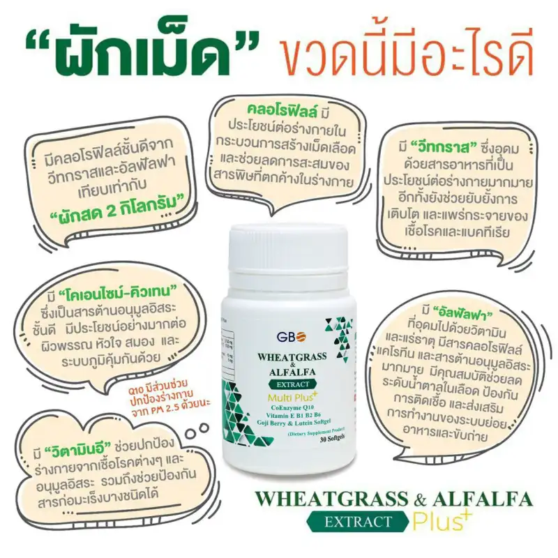 ภาพสินค้าผักเม็ด Wheatgrass & Alfalfa Extract Multi Plus+ Q10 ** ฟรีค่าส่ง ** จากร้าน Wheatgrass & Alfalfa Plus  บน Lazada ภาพที่ 4