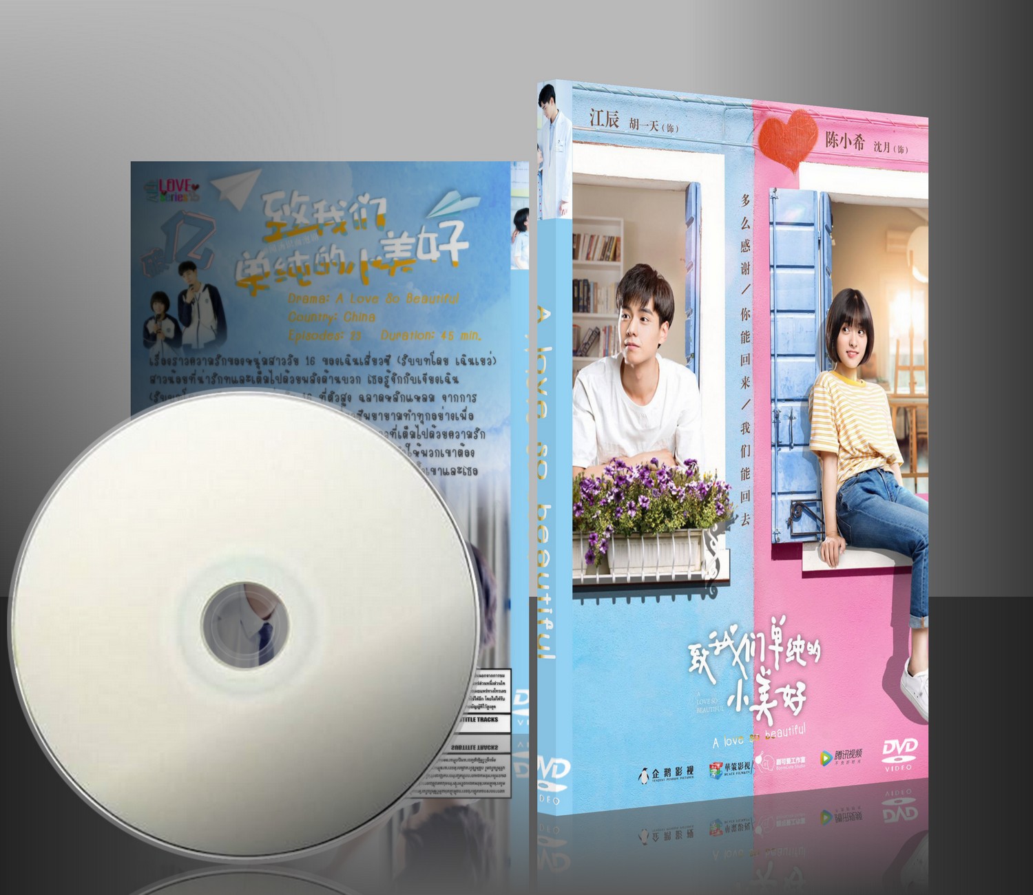 DVD ซีรีย์จีนA Love So Beautiful [ซับไทย] 4 แผ่นจบ HD
