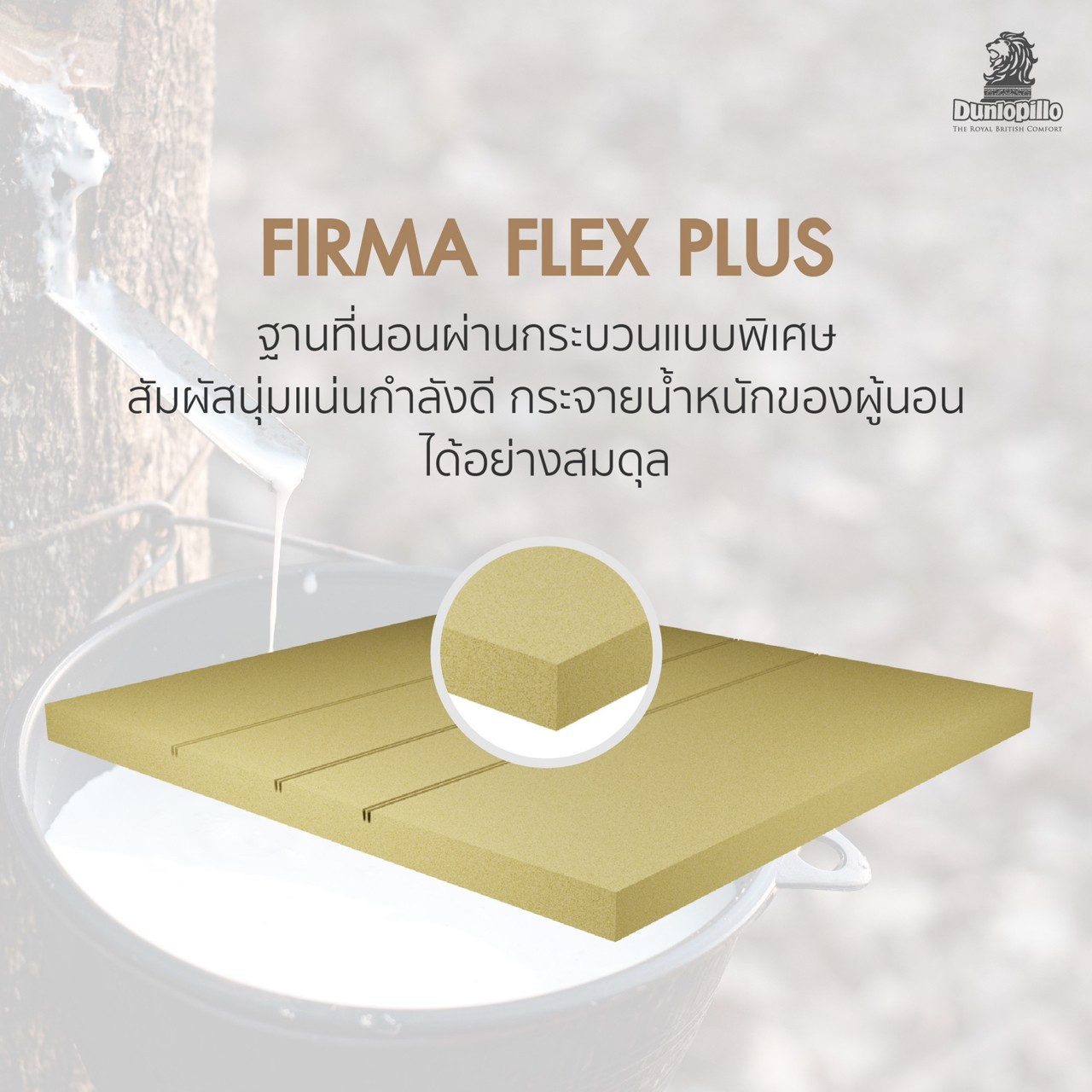 My Image 47