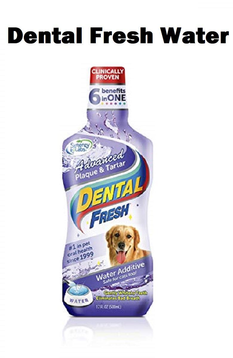 โปรโมชั่น Dental Fresh Dog น้ำยาดับกลิ่นปากสุนัข น้ำยาบ้วนปากสุนัข