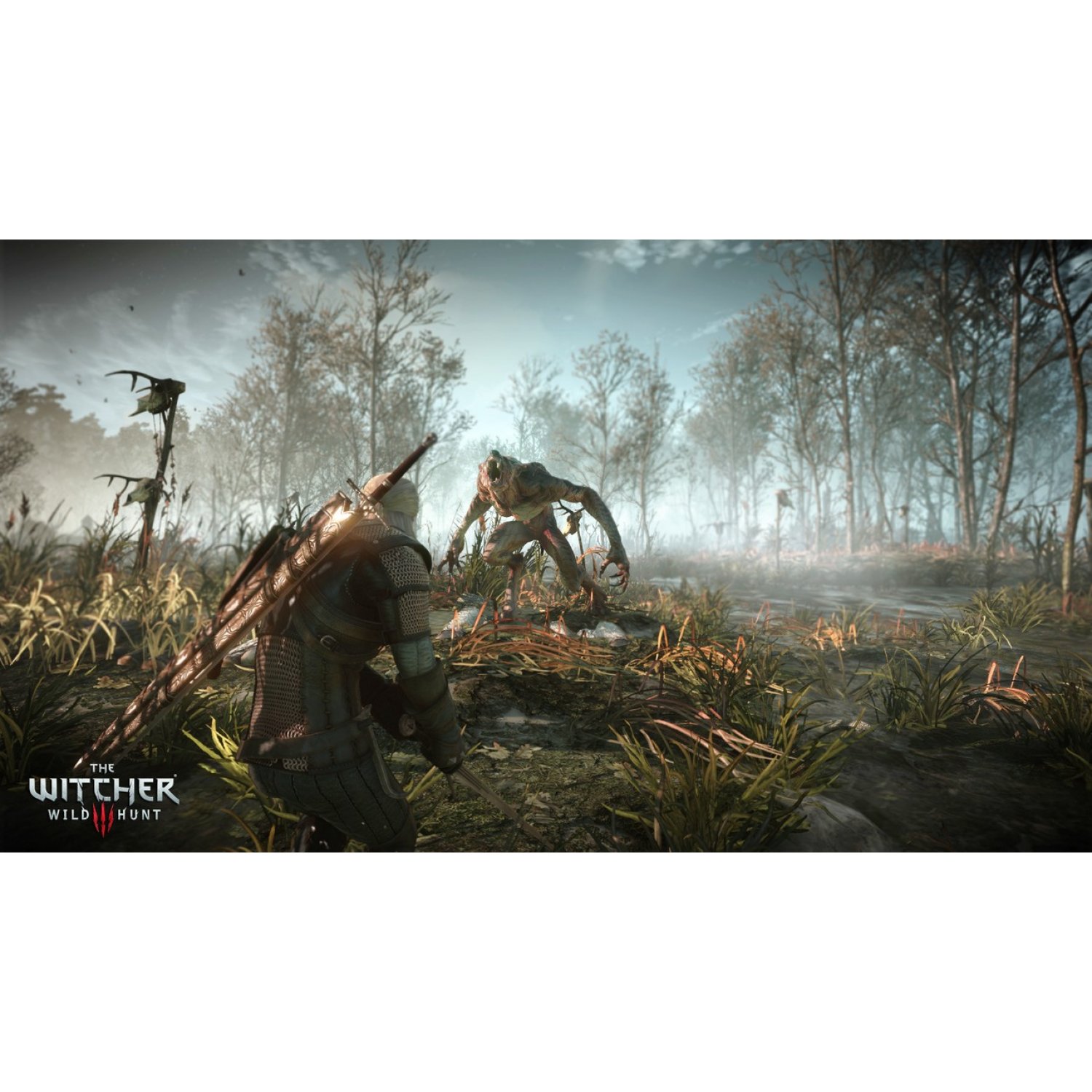 PS4 THE WITCHER 3: WILD HUNT [GAME OF THE YEAR EDITION] (ENGLISH ...