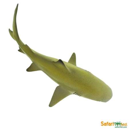 Safari Ltd. : SFR100097 โมเดล Lemon Shark