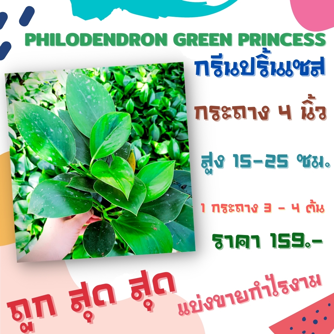 ððžāļāļīāđāļĨāđāļāļĢāļāļāļĢāļāļ ð·ðGreen Princessðð· āļāđāļāđāļĄāđāļāļāļāļāļēāļāļēāļĻāļāļĩāđāļāđāļēāļāļĨāļđāļ āđāļĄāđāļāļĢāļ°āļāļąāļāļāļĩāđāļāļīāļĒāļĄāļāļąāļāļĄāļēāļ āļāļĢāđāļāļĄāļāļĢāļ°āļāļēāļ 4 āļāļīāđāļ§ðžð