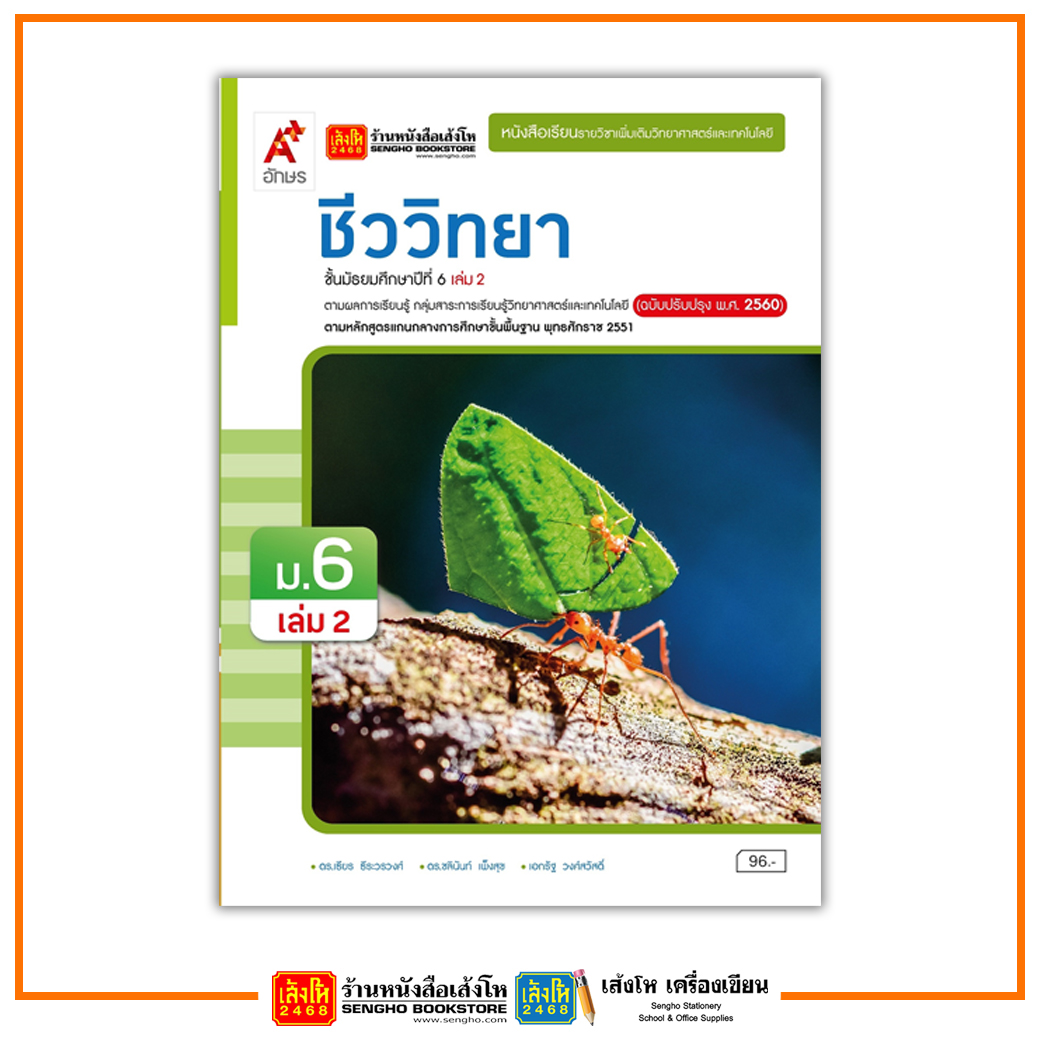 My Image 41