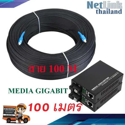 100 เมตร + Gigabit Media Converter 10/100/1000 Mbps (สายมีลวดสลิงแบบ outdoor)