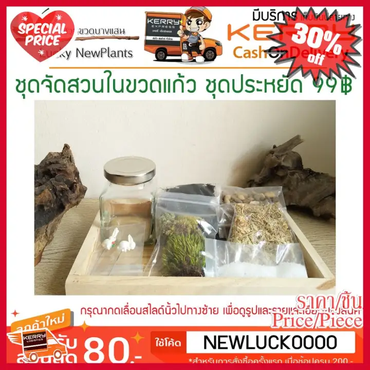 new ช ดจ ดสวนในขวดแก ว diy ช ดประหย ด 99 ของขว ญ อ ปกรณ ตกแต งสวน ตกแต งบ าน เคร องม อ จ ดสวน home garden lawn