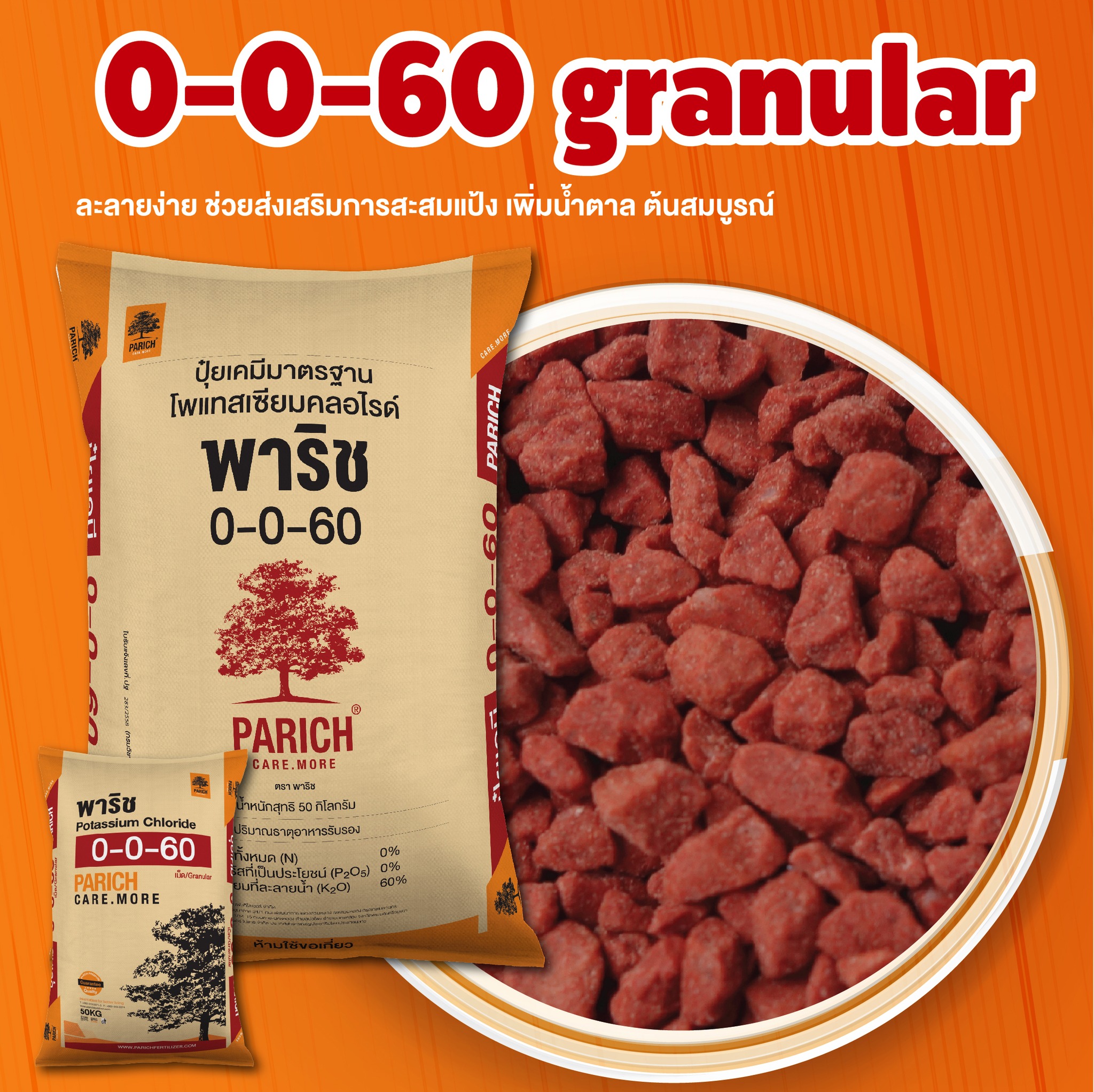 0-0-60-mop