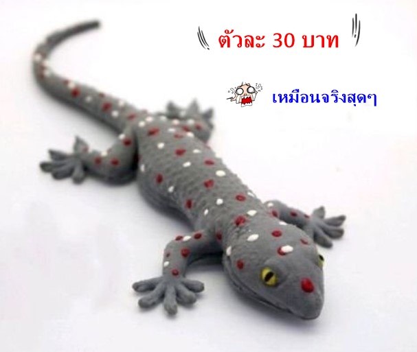My Image 8