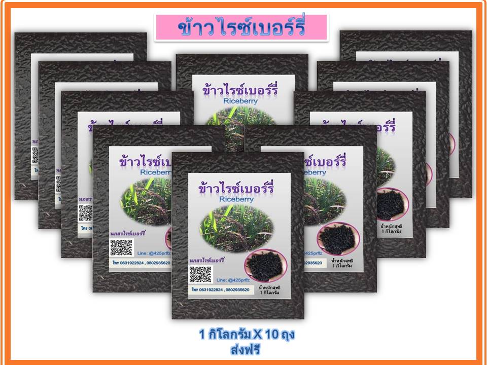 ข้าวไรซ์เบอรี่  ข้าวกล้องปลอดสารพิษ  แพ็คสูญญากาศ ขนาดบรรจุ 1 กก. จำนวน 10 แพ็ค