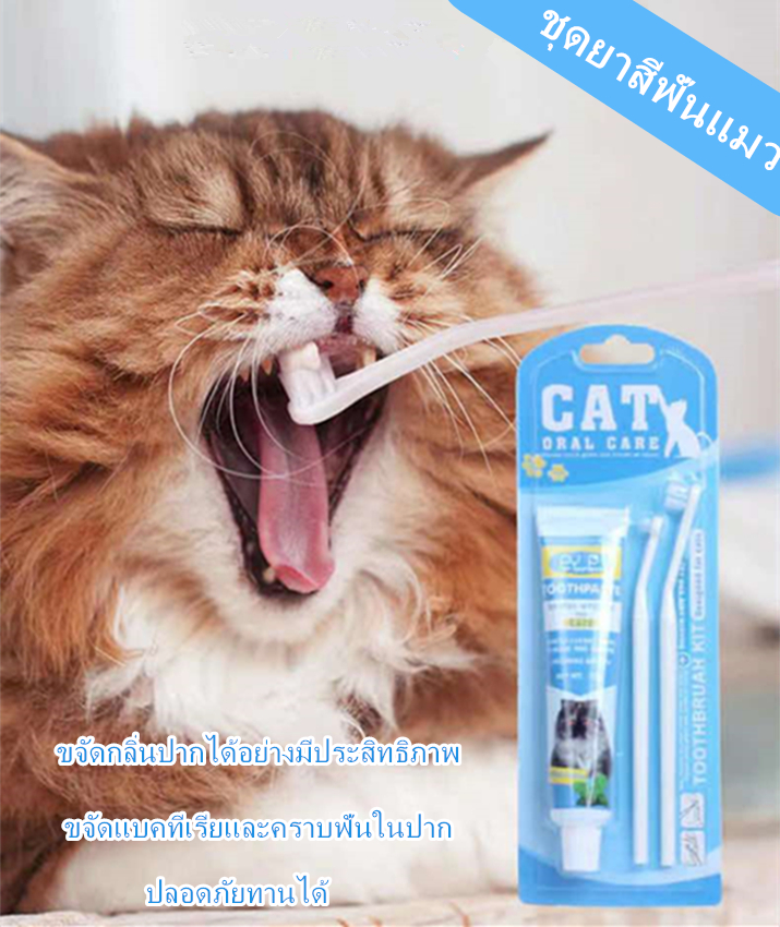 ยาสีฟันสำหรับแมว ชุดแปรงสีฟัน + ยาสีฟัน รสเนื้อ Pet Toothbrush ลดกลิ่นปาก ลดคราบหินปูน สำหรับสุนัขทุกสายพันธุ์ กลิ่นวนิลลา ขนาด (75 กรัม/แพ็ค)