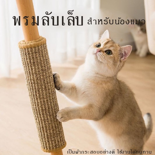 พรมลับเล็บแมว ที่ลับเล็บน้องแมว  พรมลับเล็บสำหรับสัตว์เลี้ยง?สินค้าดี ราคาถูก พร้อมส่งในประเทศไทย?P204cat tower