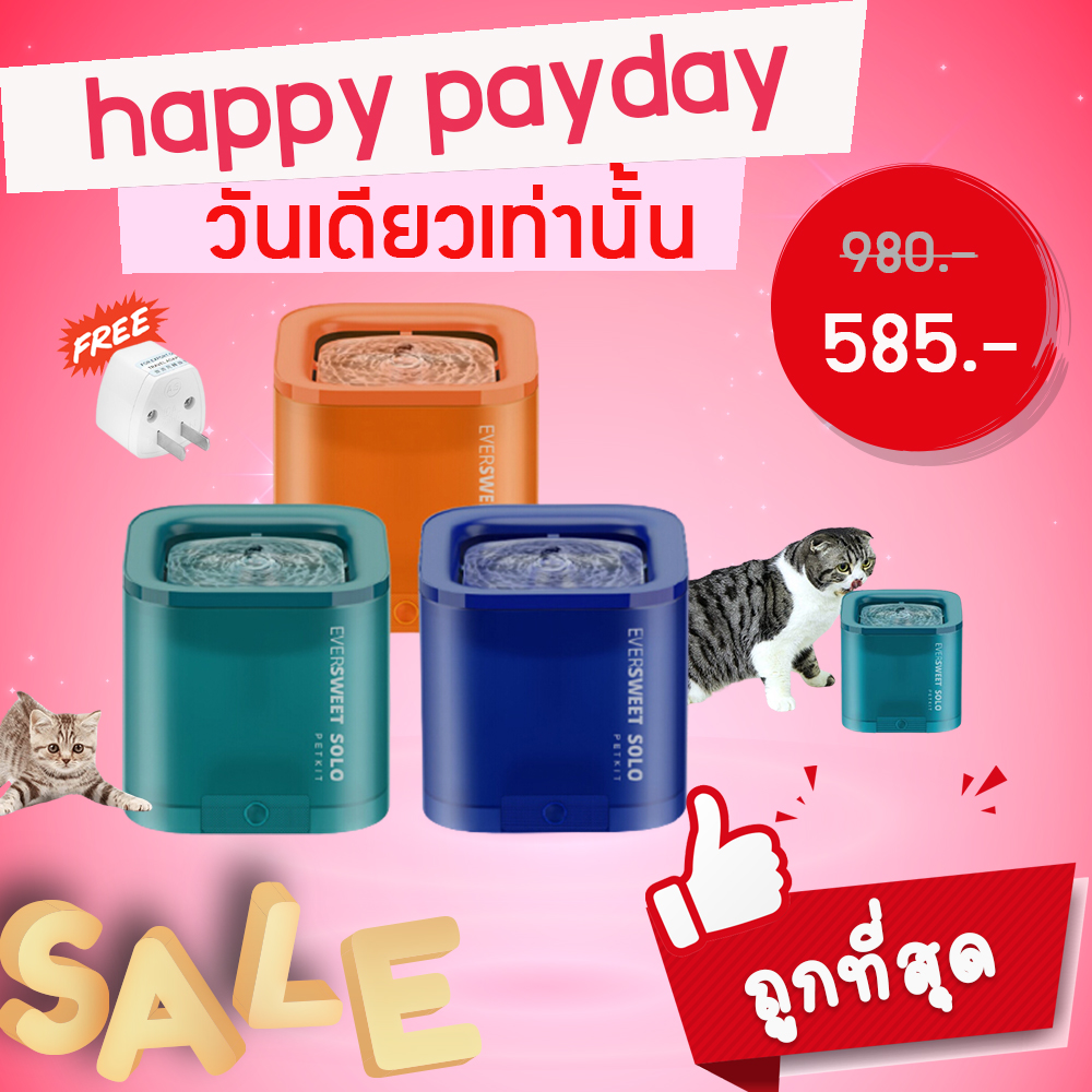 X84 [[พร้อมส่ง]]PETKIT Eversweet SOLO น้ำพุกรองน้ำสีสันสดใส น้ำพุแมวถังโปร่งใส SMART PET DRINKING FOUNTAIN