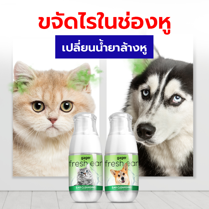 Gager น้ำยาเช็ดหู โลชั่นทำความสะอาดหู สำหรับสัตว์เลี้ยง ใช้ได้ทั้งสุนัขและแมว ช่วยลดกลิ่นและทำให้หูหอม ป้องกันไรหู 50ml. (1ขวด)
