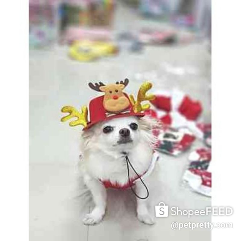 Lazada แนะนำหมวกหมา​ xmas หมวกสุนัข​ คริสมาส กวางน้อย​ หมวกแมว