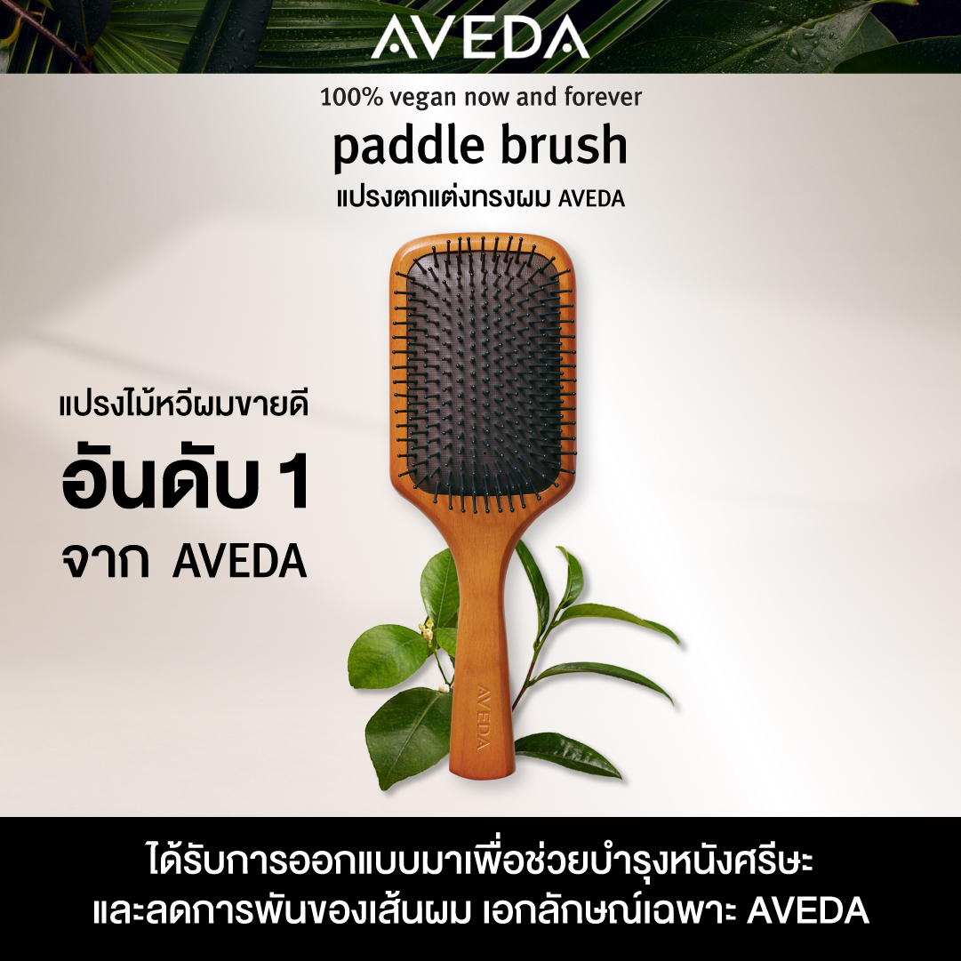 AVEDA paddle brush แปรงตกแต่งทรงผม  (หวี, หวีอเวดา, ลดผมร่วง)