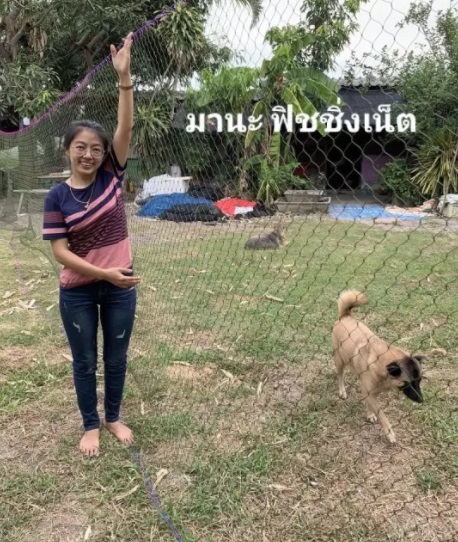 ตาข่ายกันงู ตาข่ายล้อมกันงู ตาข่ายจับงูหลาม ตาข่ายป้องกันงูเหลือม ป้องกันงูหลามกินเป็ดไก่นก ป้องกันงูเหลือมกินแมวสุนัข