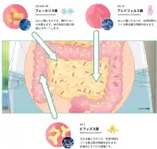 ภาพขนาดย่อของภาพหน้าปกสินค้าShin Biofermin S ยาเพิ่มจุลินทรีย์ชนิดดีในลำไส้ ช่วยปรับสมดุลในลำไล้ ลดอาการท้องผูก โรคลำไส้แปรปรวน ท้องอืด ชนิดเม็ด จากร้าน beyondsohojapan บน Lazada ภาพที่ 3