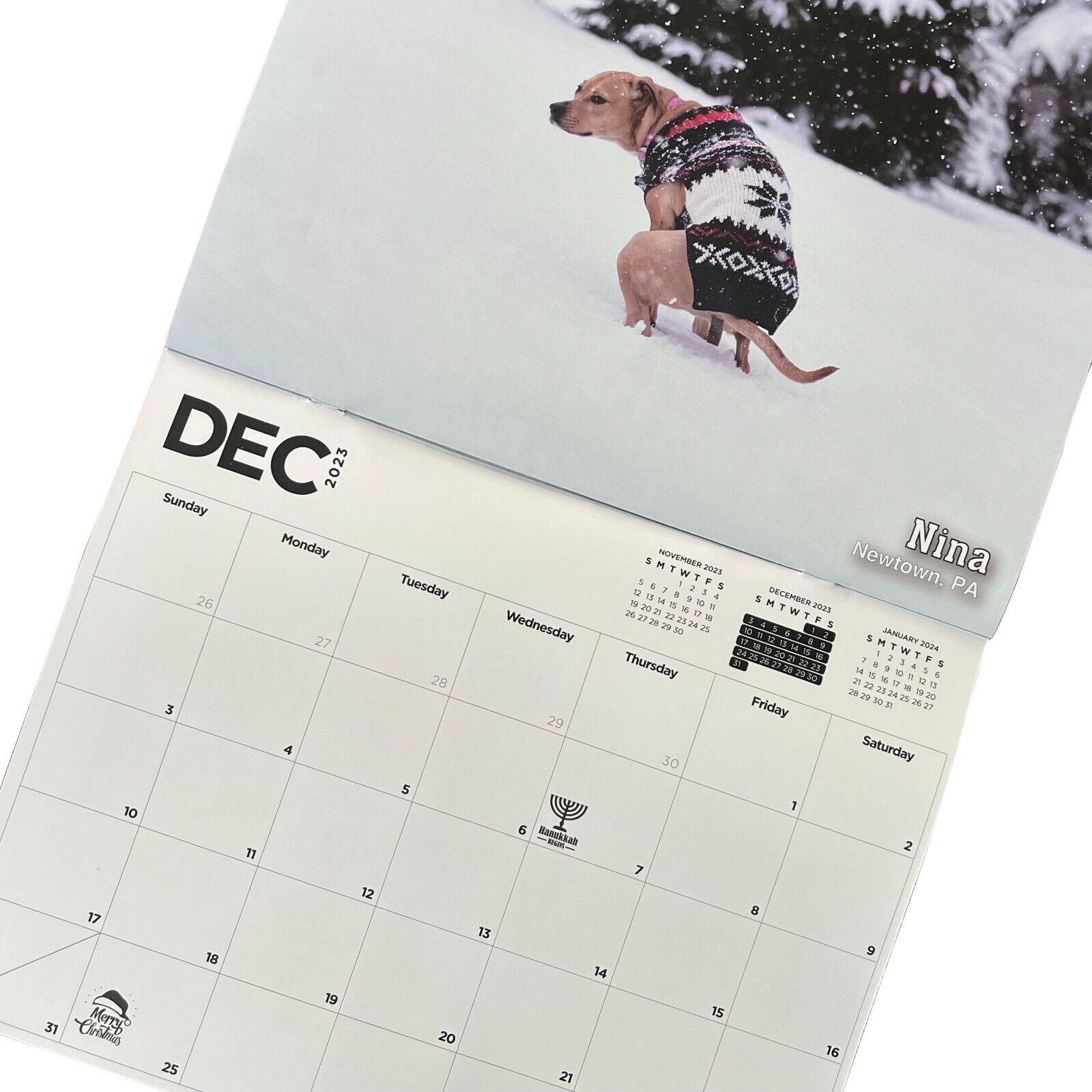 2023 Pooping Pooches Dog Calendar Home Decoration M4b3 | Lazada Ph