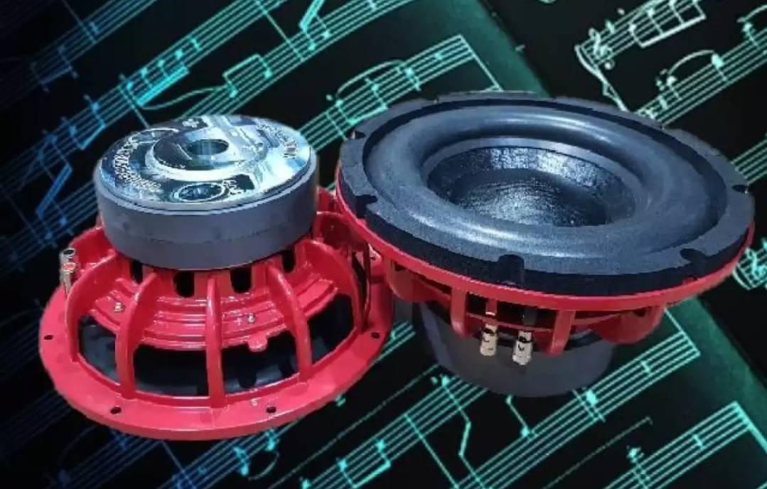 LXJ ดอกลำโพงรถยนต์ซัฟวูฟเฟอร์ 10 นิ้ว วอยซ์คู่ (4+4 ohm)1000car subwoofer