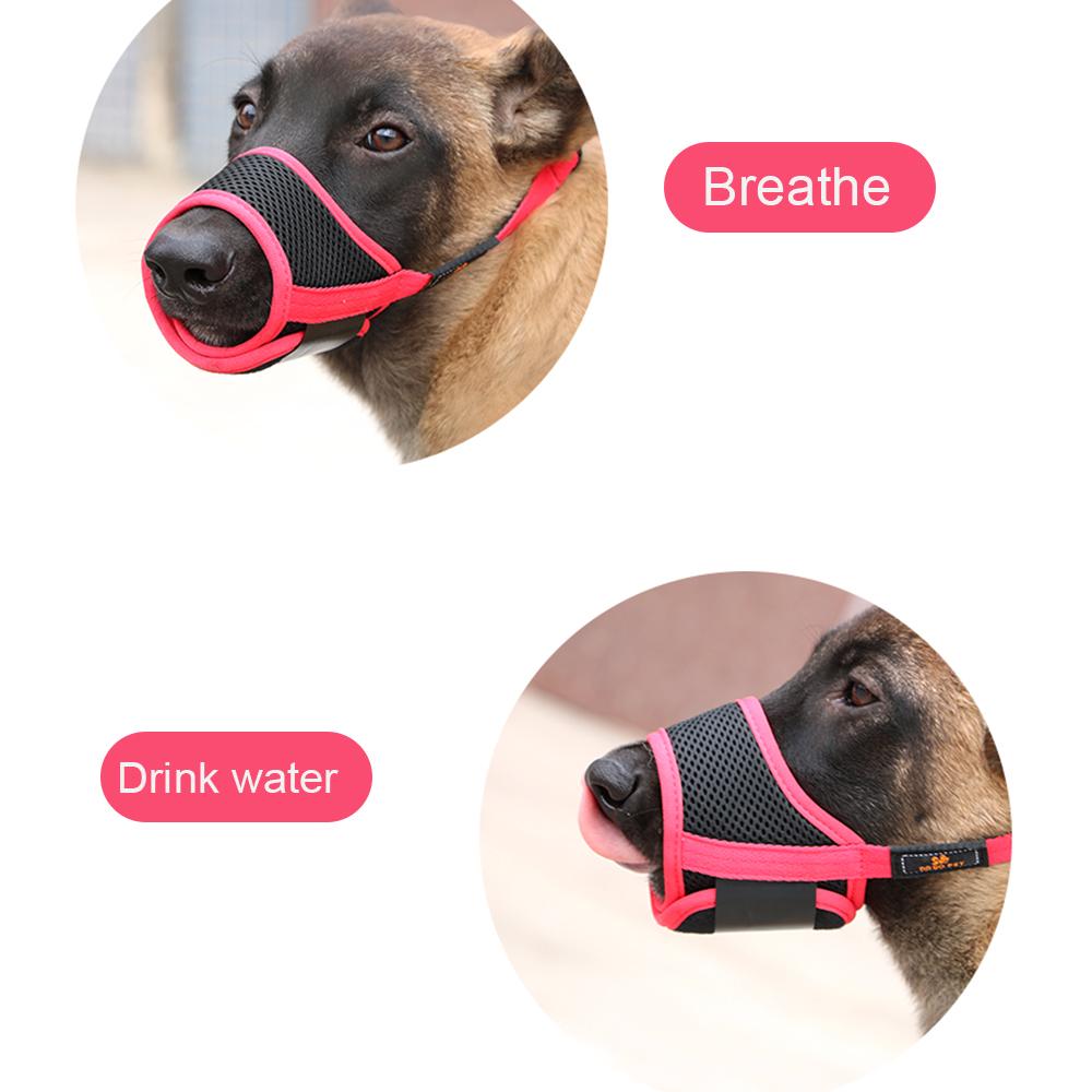 pink dog muzzle