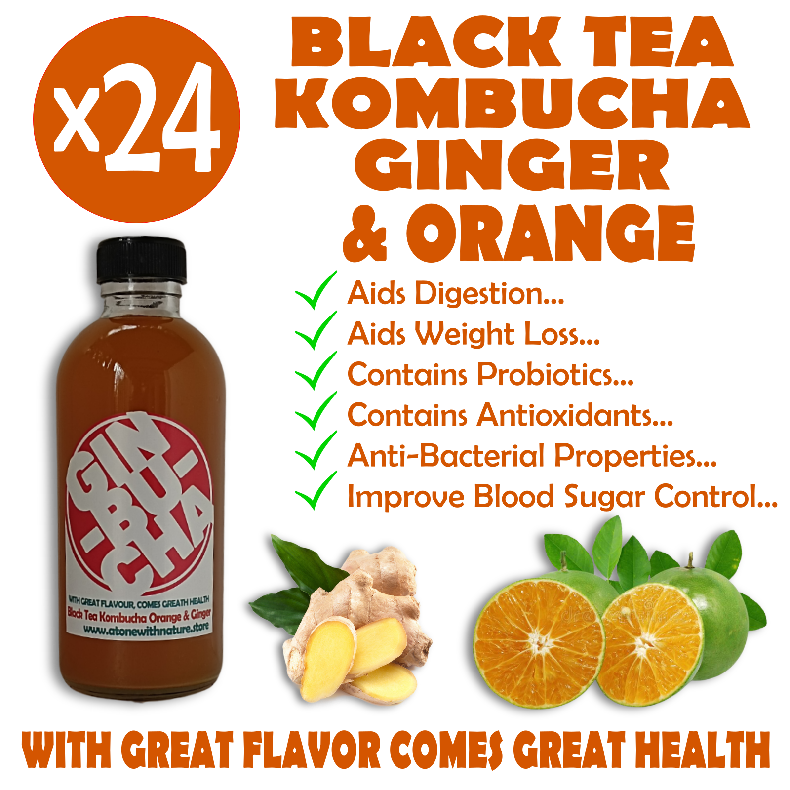 Ginbucha Kombucha & Gingerade Healthy ProbioticRich Drink that is