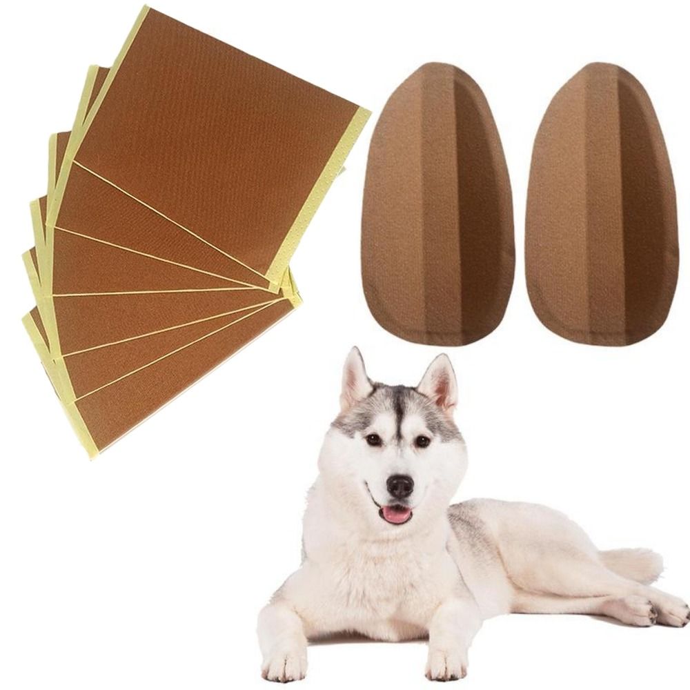 DFSID Self-adhesive Support Doberman Pinscher Dog Correct Ear Erector Dog Supplies Dog Ear Stand Up Stickers Dog Ear Erector Ear Care Tools