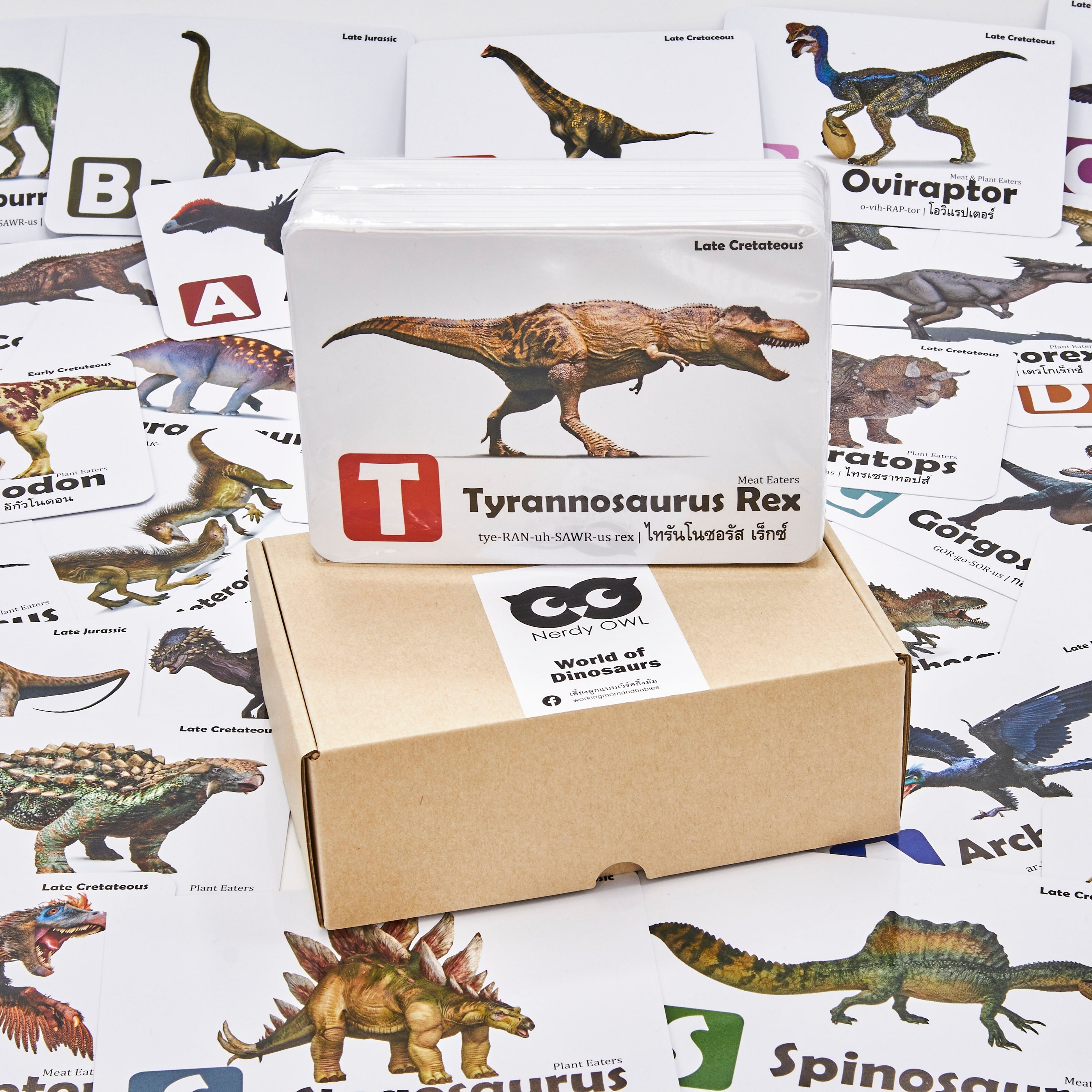 แฟลชการ์ด ไดโนเสาร์ Flash Cards Dinosaurs บัตรคำ การ์ดคำศัพท์ เนิร์ดดี้อาว (Nerdy Owl) จำนวนมากที่สุดถึง 108 ใบ ของเล่นเสริมพัฒนาการ