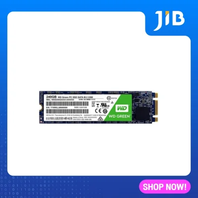 JIB JIB 240 GB SSD (เอสเอสดี) WD GREEN SATA M.2 2280 (WDSSD240G2G0B) 3D