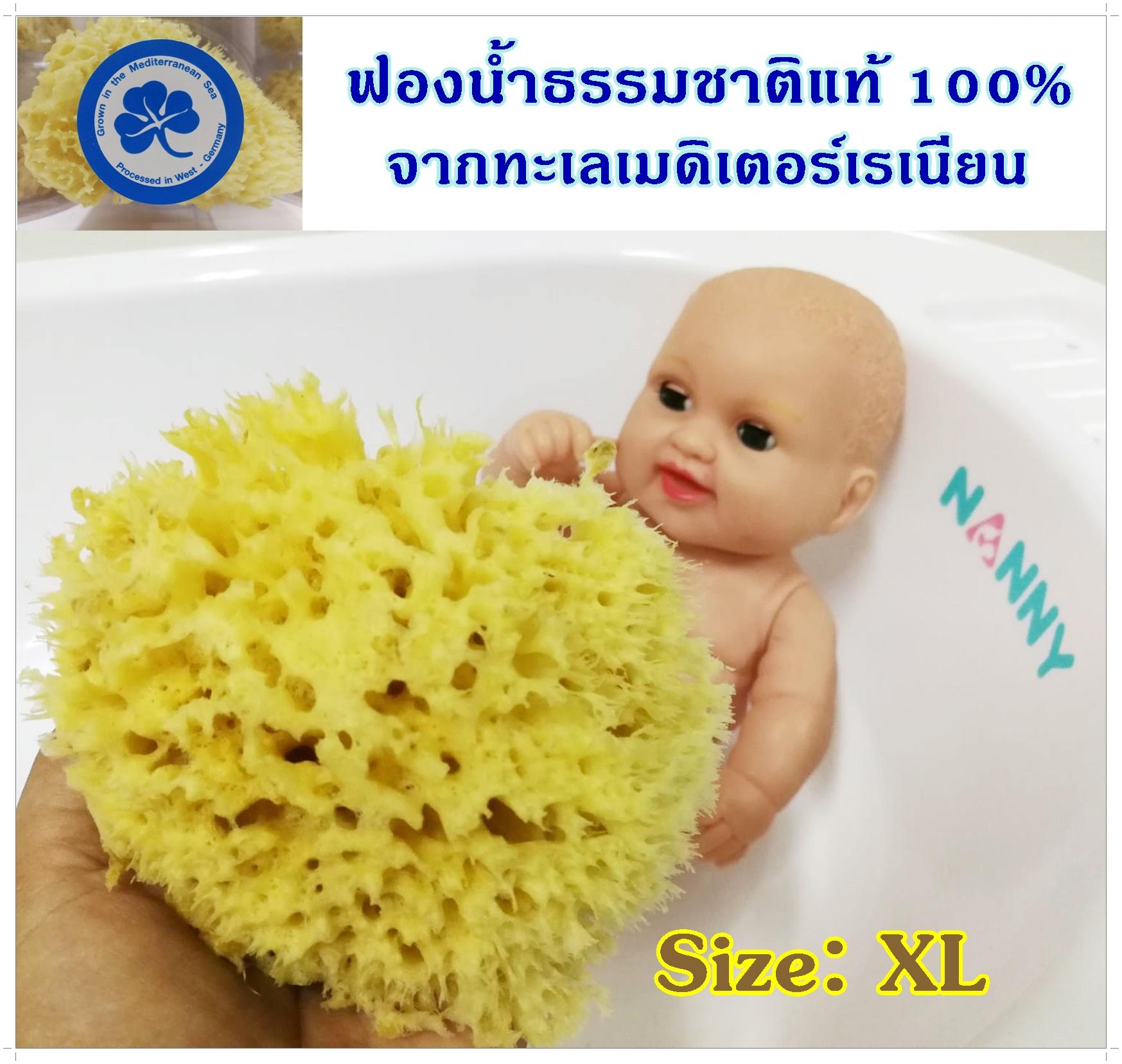 ฟองน้ำธรรมชาติแท้ 100% Size:XL จากทะเลเมดิเตอร์เรเนียนใช้สำหรับอาบน้ำ-สระผม ทารกตั้งแต่แรกเกิด