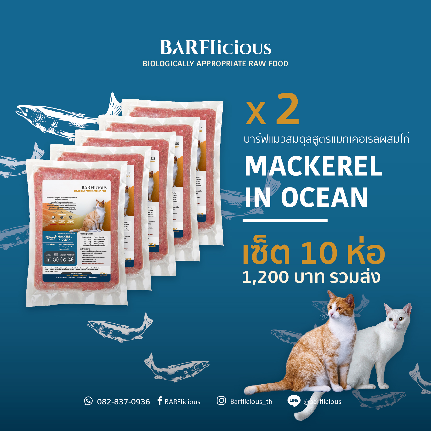 BARFlicious (บาร์ฟลิเชียส) MACKEREL IN OCEAN สูตรแมกเคอเรล  เซ็ต 10 ห่อ