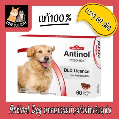 Antinol Dog อาหารเสริมบำรุงข้อสำหรับสุนัข (1กล่อง/60เม็ด) [ EXP04/2024 ]